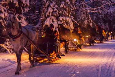 Zakopane 2024 - Zimowisko rekreacyjne (8-13 lat) i  obóz rekreacyjny (14-17 lat)